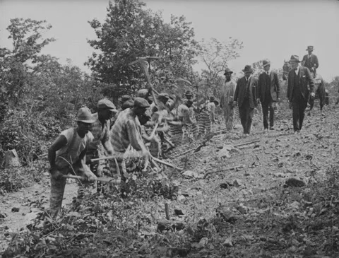 1910s - Prisoners working, digging with pickaxes Vídeo Stock 274420463