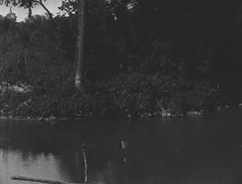 1910s - River in Michigan Stock Footage 151196589