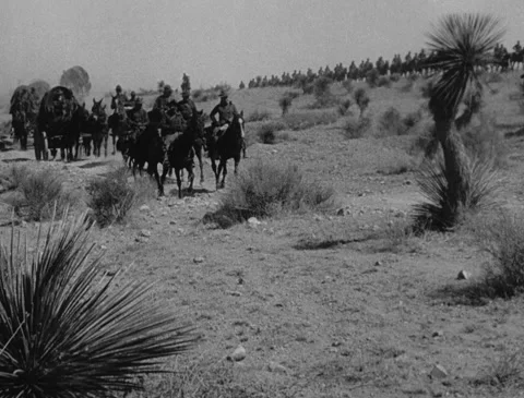 1910s - U.S. troops driving covered wagons Stock Footage 221670968