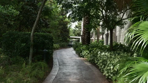 1912 Walking Path with Palm Tree's and Building, HD Stock Footage 40335736