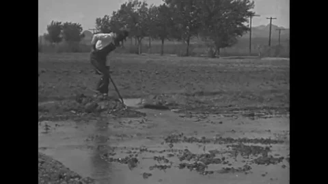 1920 - Activity is seen at an El Paso dam. Swimmers and chemists are seen in New Stock Footage 120936465