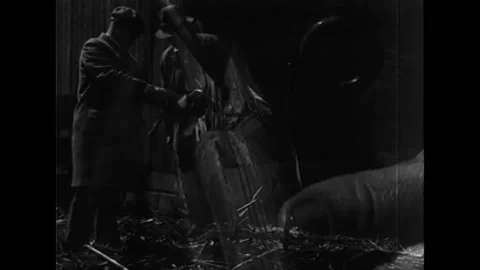 1920 - A farmer finds corn borers in the refuse of his feed lot. Stock-Footage 155855489