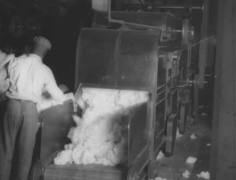 1920s - Cotton mill - Man loading cotton into carding machine Stock Footage 170508627