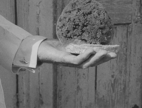 1920s - Different Sized Sponges Stock Footage 151235734