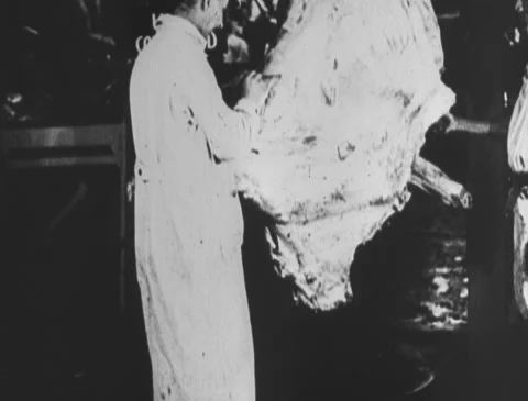 1920s - Disposing of condemned meat Stock Footage 166578909