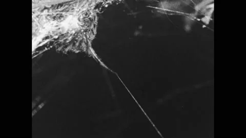 1920s: Fly struggles in spider web, pull... | Stock Video | Pond5