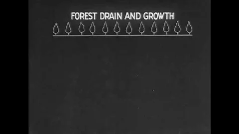 1920s - Forest drain and growth is illustrated with an animated chart and Boy Stock Footage 132202027
