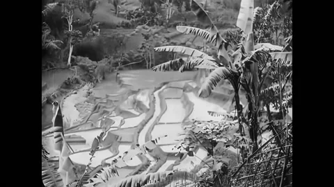 1920s - People ride a train through Indonesia. Stock Footage 234546121