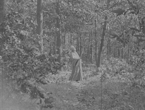 1920s - Robed man walks through forest Stock Footage 170516069
