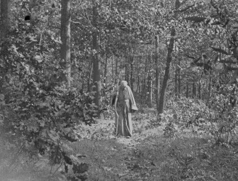 1920s - Robed man walks through forest Stock Footage 170525003