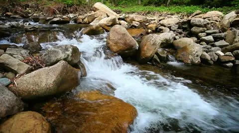 1920x1080 hidef, hdv - mountain forest stream Video stock 20590787