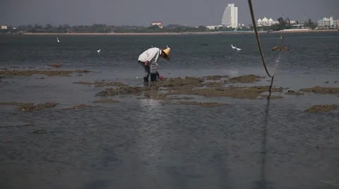 1920x1080 Men Low Tide Ebb Reflection Ebb-Tide Low Water-.mp4 Stock Footage 47364377