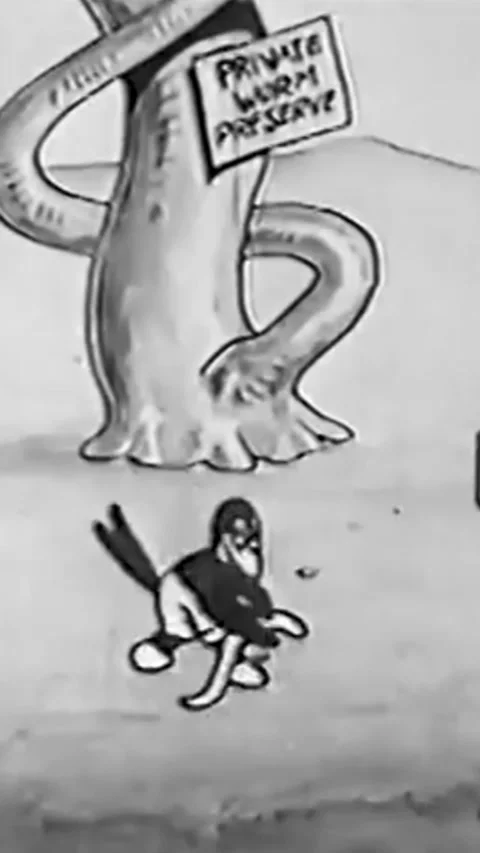 Bird For Film Stock Videos – Royalty-Free HD & 4K Videos