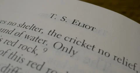 1922 Poem Macro Text Stock Footage 277169984