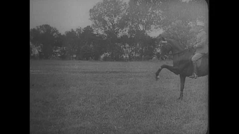 1925-Dressage / Austria / 1925 Stock Footage