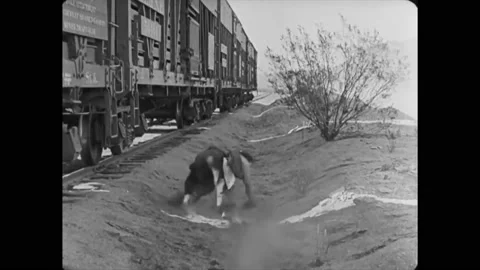 1925 - In this silent comedy, a man (Buster Keaton) gets frustrated by a cowboy Stock Footage 246294896