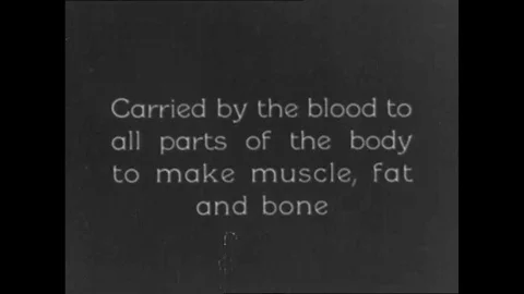1928 A rendering of the human body demonstrates how food elements are carried by Video stock 115441140