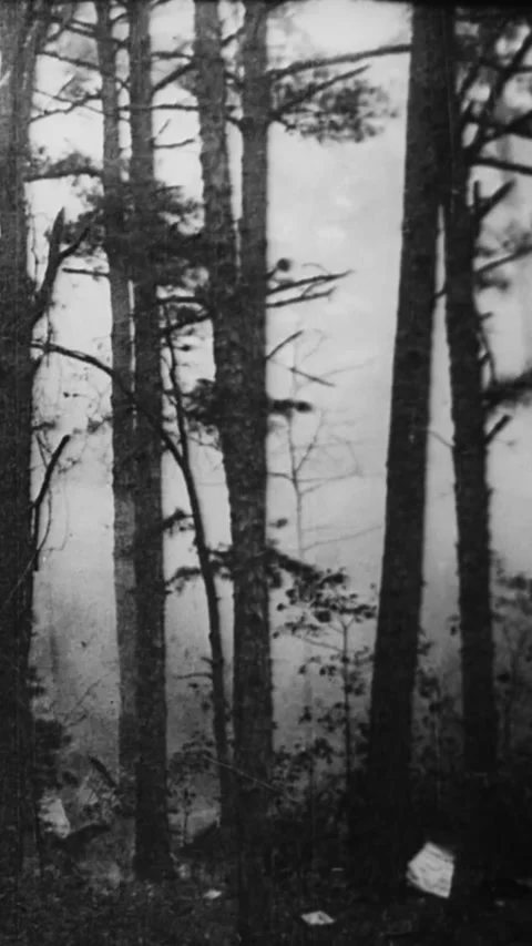 1930 - A moonshine operation is blown up in Clark's Landing, New Jersey, and Stock Footage 284130557