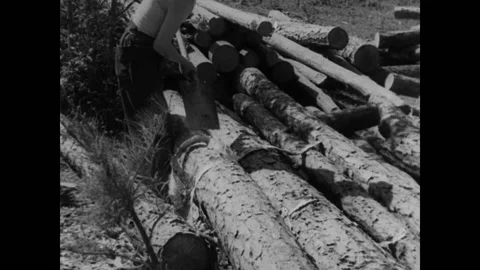 1930s - Constructing river dam in Chewacla Sate Park, Alabama - Skinning trees Stock Footage 157612373
