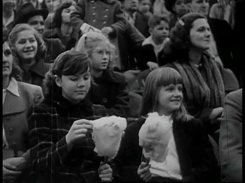 A 1930s, early 40s, 3 ring circus act kicks off with trick dogs, stunt roller Stock Footage 75328808