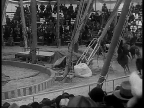 A 1930s, early 40s, 3 ring circus act features bareback riders, acrobats and Stock Footage 75328811