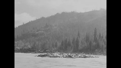 1930s - An explosion is set under a log pile in the middle of a river. Vidéo 124512114
