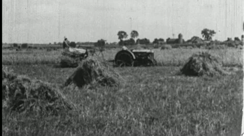 1930s FARMER ON TRACTOR Cutting Hay Wheat Farm Vintage Film Home Movie  Stock Footage