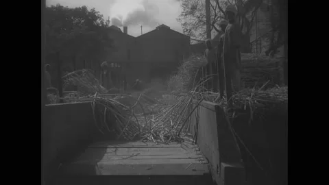 1930s - Grains are processed at an Egyptian processing plant. Video stock 162748220