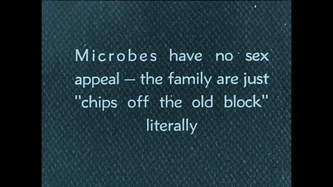 1930s: Intertitle. Magnified view of microbes. Intertitle. Magnified views of Video stock 95489032