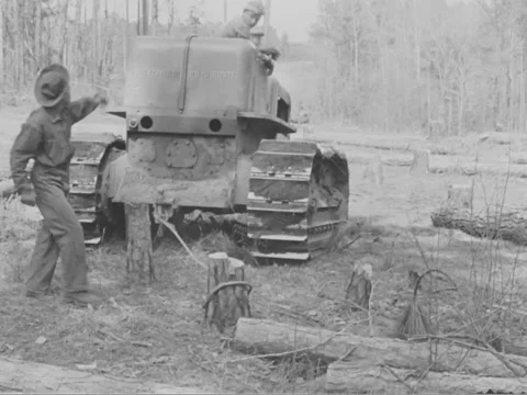 1930s: Stump removal Stock Footage 158139449