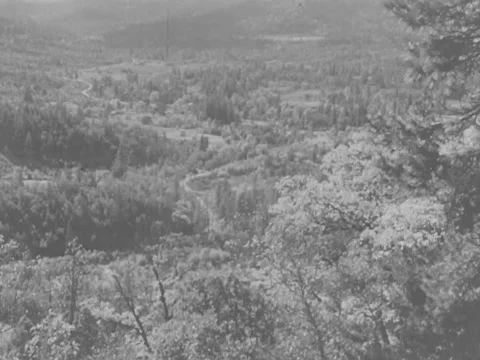 1930s: Wilderness Stock Footage 157949119