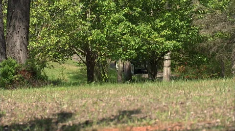 1931 Ford Model A Vídeo Stock 37679329