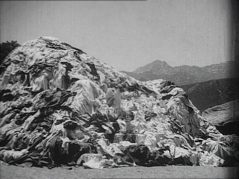 1933-Laurel and Hardy / Comedy / 1930-1939 Stock Footage 77859922