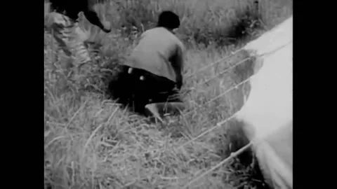 1934 - In this adventure movie, a python is found at an explorer's campsite in 库存影片 191080669