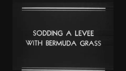 1936 - Workers sod the levee with bermuda grass, on the Mississippi River near Stock Footage 82621557