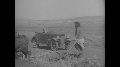 1938-Country Life / Civilian / Palestine / 1938 Stock Footage