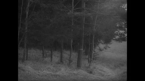 1938-Jewish Refugee / National Socialism / Switzerland / 1938 Stock Footage