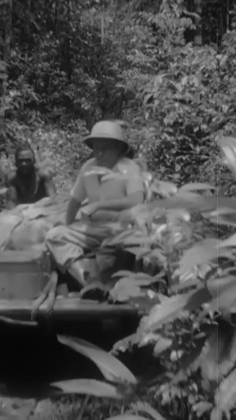 1939 - Prison labor is used for logging on Devil's Island. Видео 287570074
