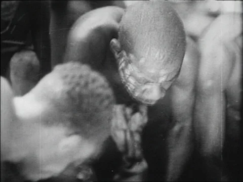1939-Pygmy / Africa / 1930-1939 Stock Footage