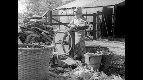 1940-Corn / Farm / USA / 1933 - 1940 Stock Footage