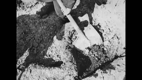 1940s - After WWII, a corpse is uncovered from a mass grave at the Stock Footage 161228310