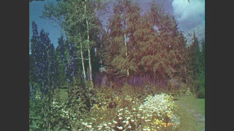 1940s: Alaska: Trees And Plants In Garden. Flowers In Gardens. View Across Stock Footage