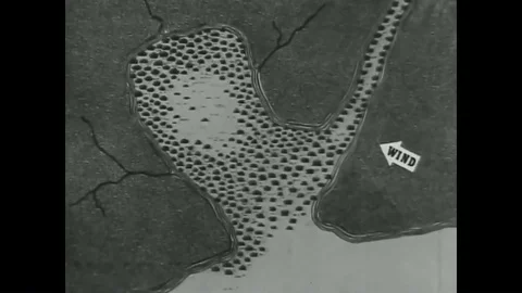 1940s - An animated map shows the path of a crop-duster. Stock Footage 92626070