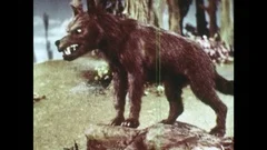 Little Red Riding Hood 1949 Ray Harryhausen Animation in Color; Stop-Motion Fairy  Tale Classic - Vídeo Dailymotion