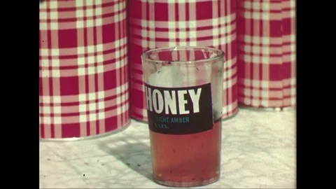 1940s: Ants crawl on honey jar / Man paints pesticide on patio door. Stock Footage