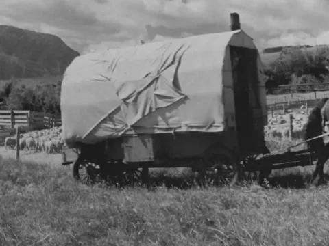 1940s: Covered wagon passes sheep pen Video stock 229207464