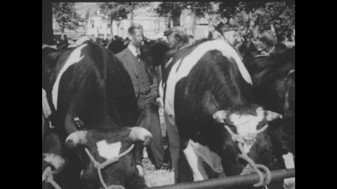 Men Tied Up By Women Stock Videos – Royalty-Free HD & 4K Videos Pond5