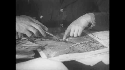 1940s: fingers point at location on map. Map of shipyard in Bremen. Man points Vídeos de archivo 75150629