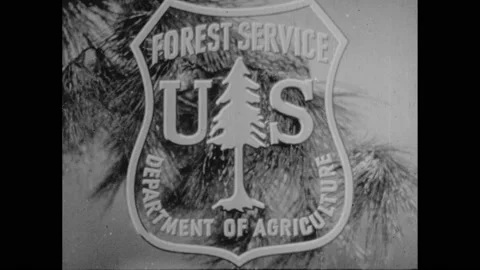 1940s: Forest fires. Building burns. Smoke rises from the ground. Stacks of Stock Footage 232947536