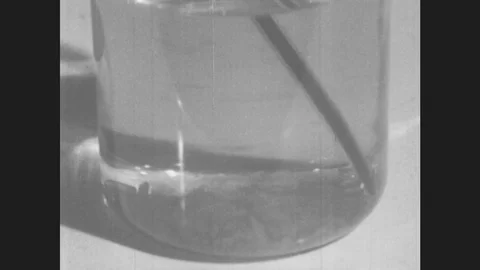 1940s: Glass of water with solid matter on bottom is stirred. Solid matter does Stock Footage 80382771